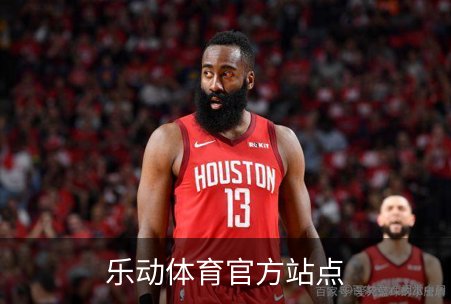 乐动体育官方站点品牌故事